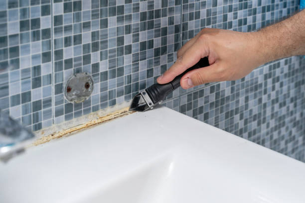 Best Kitchen Mold Remediation in Theresa, WI